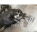Проводка (коса) Ford Focus 2 05-08