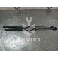 Амортизатор двери багажника Fiat Punto 2 (188) 99-10
