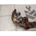 Скоба суппорта переднего Daewoo Espero 91-99