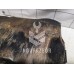 Поддон масляный двигателя VW Golf 3 Vento 91-97 Поддон масляный двигателя VW Golf 3 Vento 91-97