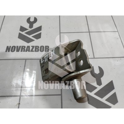 Петля двери передней левой нижняя Renault Clio 3  2005-2012