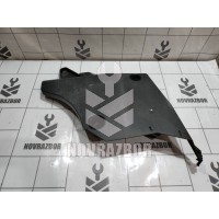 Защита Renault Clio 3  2005-2012