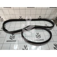 Уплотнитель двери Renault Clio 3  2005-2012