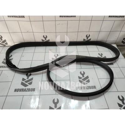 Уплотнитель двери Renault Clio 3  2005-2012