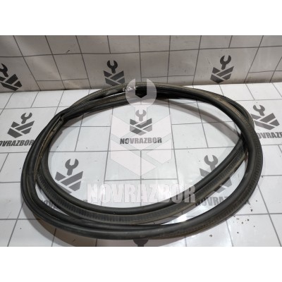 Уплотнитель двери Renault Clio 3  2005-2012