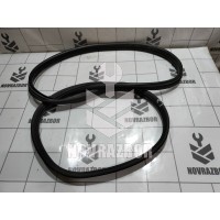 Уплотнитель двери Renault Clio 3  2005-2012