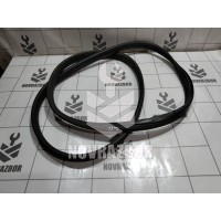 Уплотнитель двери Renault Clio 3  2005-2012