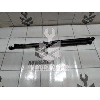 Амортизатор крышки багажника Renault Clio 3  2005-2012