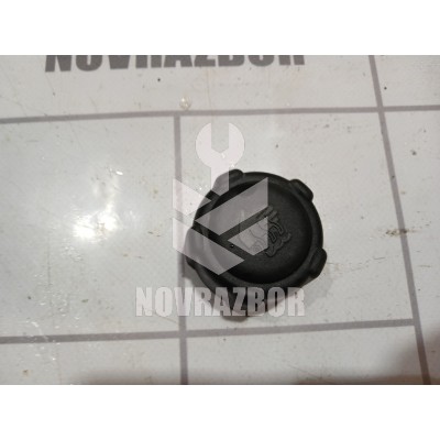 Крышка расширительного бачка Renault Clio 3 2005-2012 Крышка расширительного бачка Renault Clio 3 2005-2012