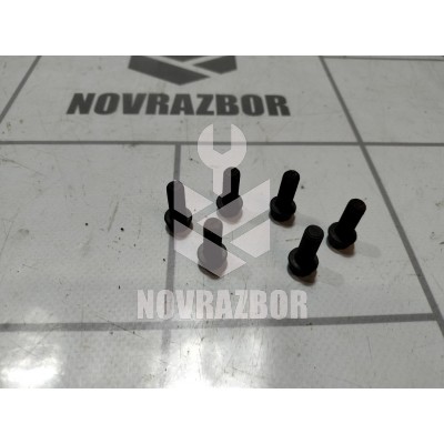 Болт маховика VW Passat B6 05-10