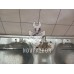 Капот Ford Focus 1 1998-2004 Капот Ford Focus 1 1998-2004