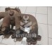 Коллектор выпускной Ford Focus 1 1998-2004