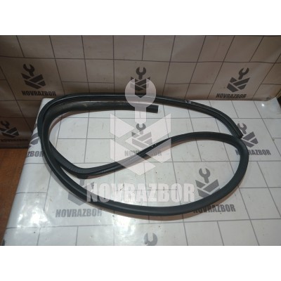 Уплотнитель двери Ford Focus 1 1998-2004 Уплотнитель двери Ford Focus 1 1998-2004