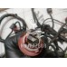 Проводка (коса) Ford Focus 1 1998-2004 Проводка (коса) Ford Focus 1 1998-2004
