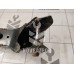 Кронштейн КПП Chevrolet Lacetti 04-13 Кронштейн КПП Chevrolet Lacetti 04-13
