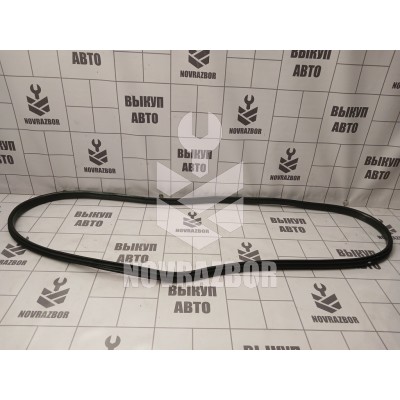 Уплотнитель двери Renault Megane 3 09-16