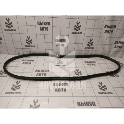 Уплотнитель двери Renault Megane 3 09-16