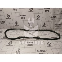 Уплотнитель двери Renault Megane 3 09-16