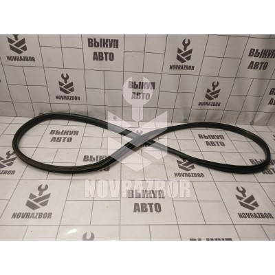 Уплотнитель двери Renault Megane 3 09-16