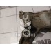 Кронштейн гидроусилителя Ford Focus 1 1998-2004 Кронштейн гидроусилителя Ford Focus 1 1998-2004