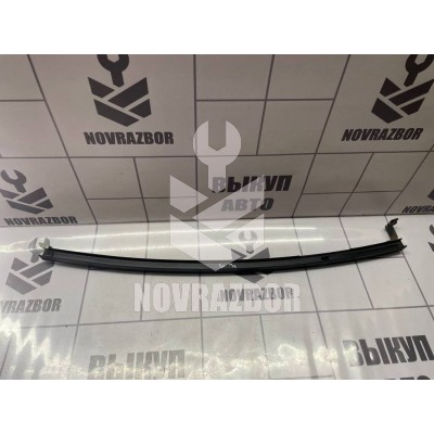 Направляющая (кузов наружные) Renault Megane 3 09-16