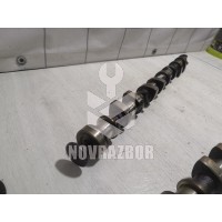 Распредвал выпускной Ford Focus 1 1998-2004