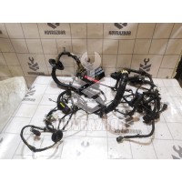 Проводка (коса) Ford Focus 1 1998-2004