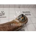 Рычаг задний продольный правый Mitsubishi Lancer 10 CX CY 07-17 Рычаг задний продольный правый Mitsubishi Lancer 10 CX CY 07-17