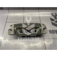 Плафон салонный Ford Focus 2 05-08