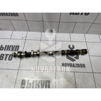 Распредвал выпускной Ford Focus 2 05-08