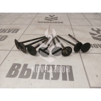 Клапан выпускной Ford Focus 2 05-08