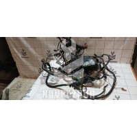 Проводка (коса) Ford Focus 2 05-08