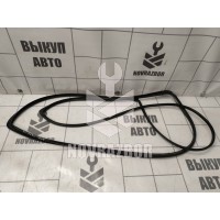 Уплотнитель стекла двери Daewoo Nexia 95-16