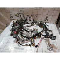 Проводка (коса) Renault Fluence 10-17