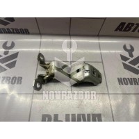 Петля двери Renault Fluence 10-17
