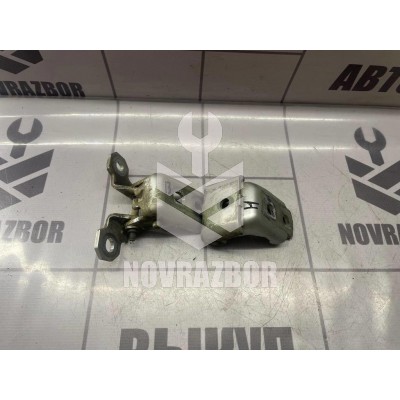 Петля двери Renault Fluence 10-17