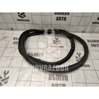 Уплотнитель двери Renault Fluence 10-17