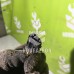 Проводка (коса) Kia Spectra 2001-2011