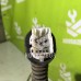 Проводка (коса) Kia Spectra 2001-2011
