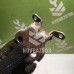 Петля двери задней левой верхняя Honda Logo